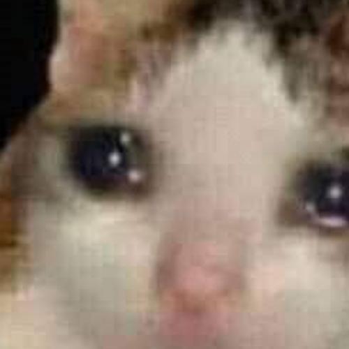 สมาชิกหมายเลข 7028490