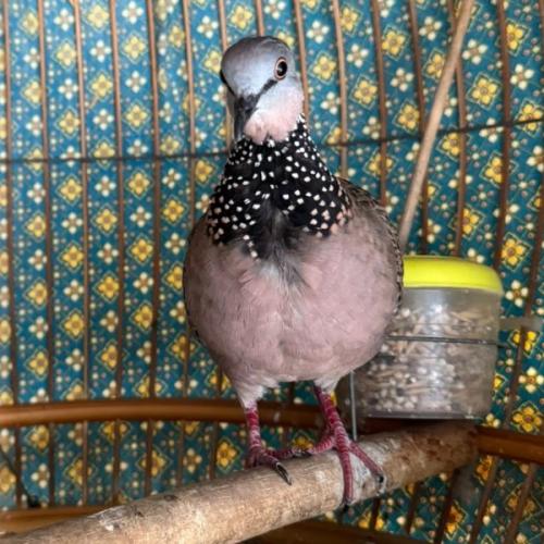 สมาชิกหมายเลข 8762926