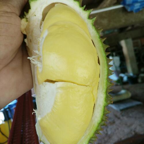 สมาชิกหมายเลข 904151