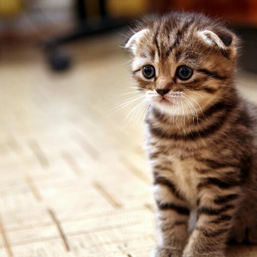 สมาชิกหมายเลข 4902327