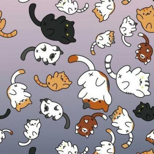 สมาชิกหมายเลข 5298185