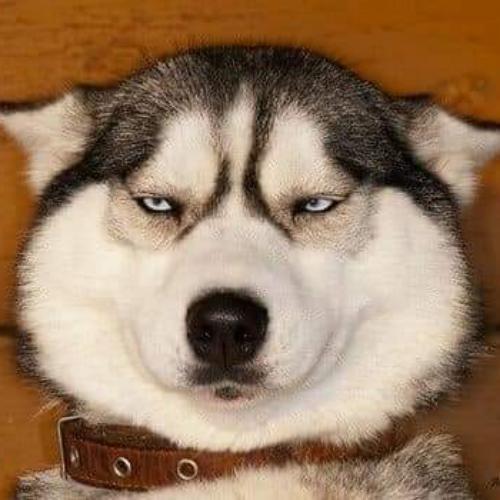 สมาชิกหมายเลข 5299483