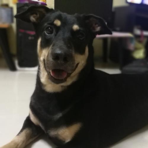 สมาชิกหมายเลข 930513