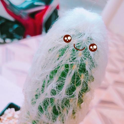 สมาชิกหมายเลข 4247638