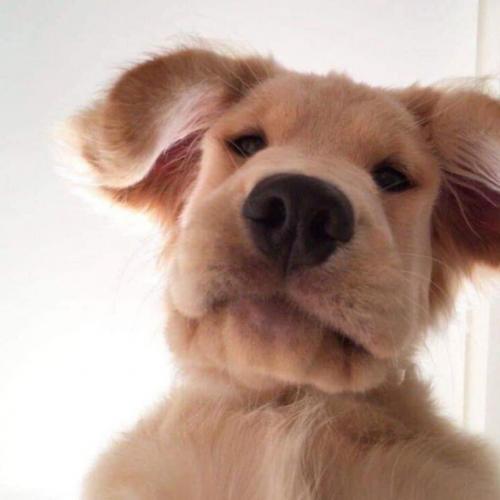 สมาชิกหมายเลข 5461094