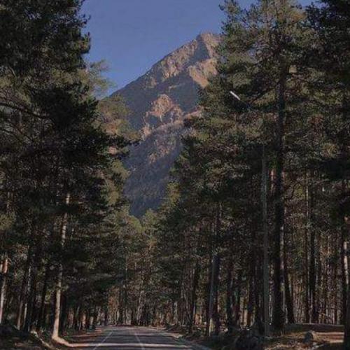 สมาชิกหมายเลข 4933510