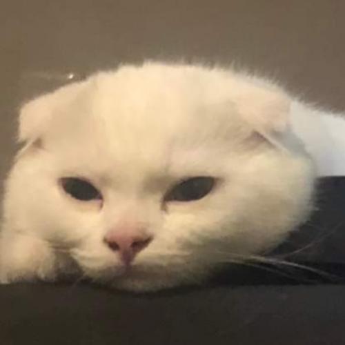 สมาชิกหมายเลข 5080501