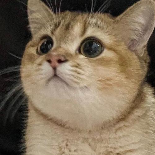 สมาชิกหมายเลข 6902834