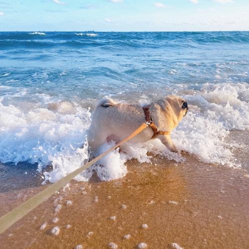 สมาชิกหมายเลข 3488732