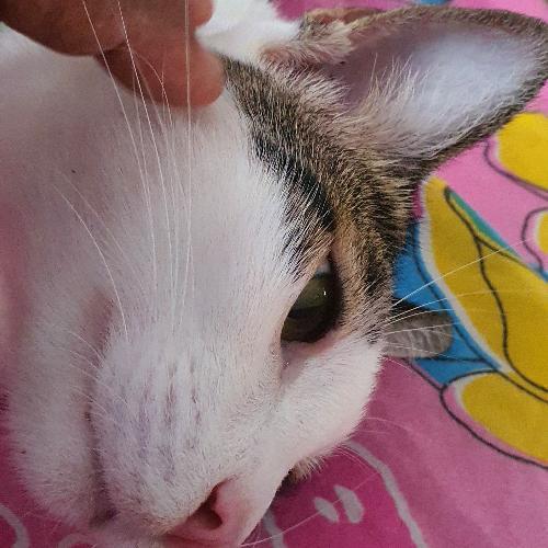 สมาชิกหมายเลข 5362208