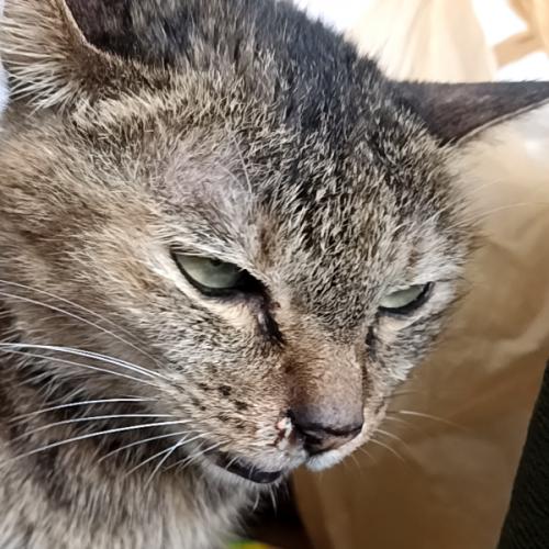 สมาชิกหมายเลข 2626613