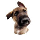 สมาชิกหมายเลข 3679935