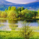 สมาชิกหมายเลข 916586