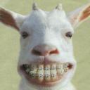 สมาชิกหมายเลข 4092033