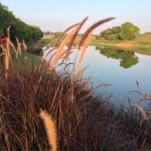 เด็กบางมดน้อยๆ