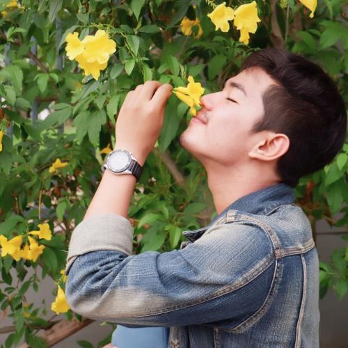 สมาชิกหมายเลข 4561396