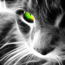 สมาชิกหมายเลข 5110058