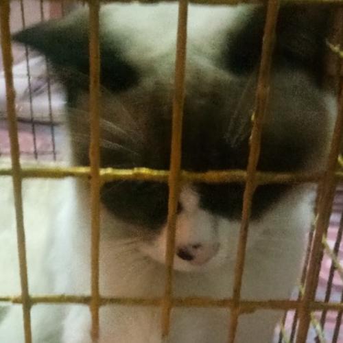 สมาชิกหมายเลข 5061326