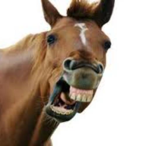 สมาชิกหมายเลข 5238272