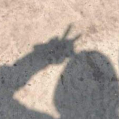 สมาชิกหมายเลข 6123581