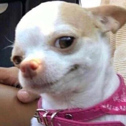 สมาชิกหมายเลข 7029289