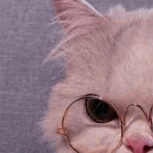 สมาชิกหมายเลข 6859453