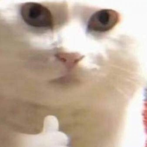 สมาชิกหมายเลข 7615129