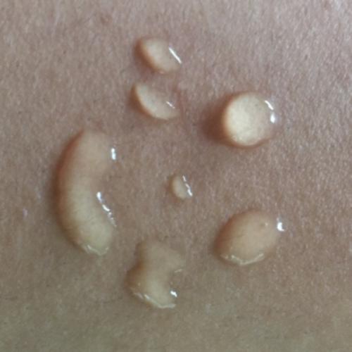 สมาชิกหมายเลข 7787115