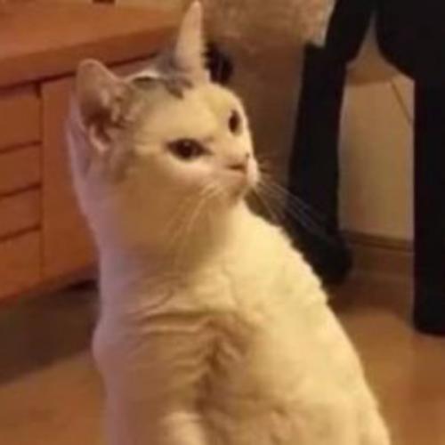 สมาชิกหมายเลข 8062503