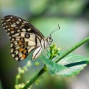 สมาชิกหมายเลข 3679658