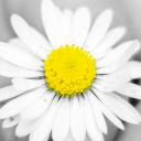 สมาชิกหมายเลข 2755562