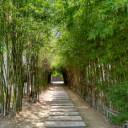 สมาชิกหมายเลข 3915092