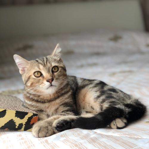 สมาชิกหมายเลข 4561586