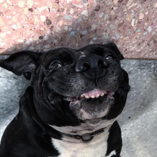 สมาชิกหมายเลข 3992344