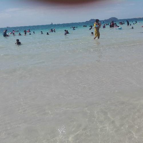 สมาชิกหมายเลข 4901095