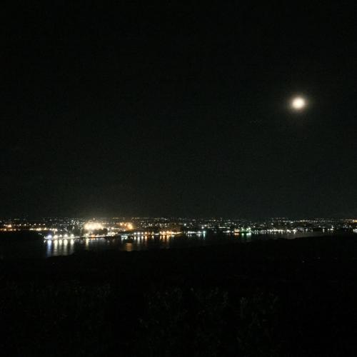 สมาชิกหมายเลข 4902174