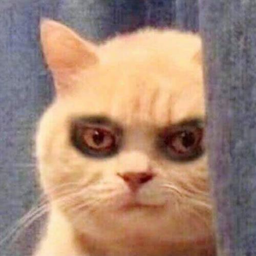 สมาชิกหมายเลข 5300282