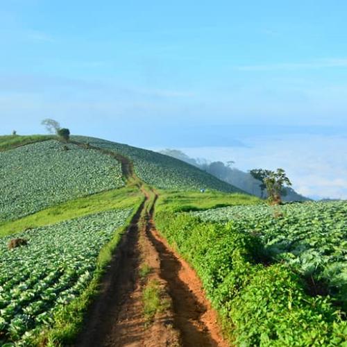 สมาชิกหมายเลข 4743937