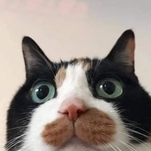 สมาชิกหมายเลข 5445207