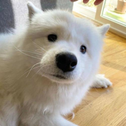 สมาชิกหมายเลข 5578060