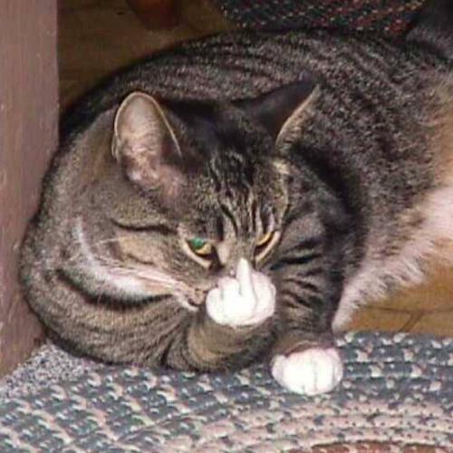 สมาชิกหมายเลข 6278554