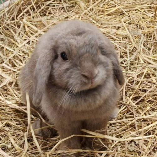 สมาชิกหมายเลข 7030318