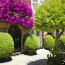 สมาชิกหมายเลข 1769625