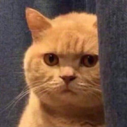 เตยสวยมากๆ