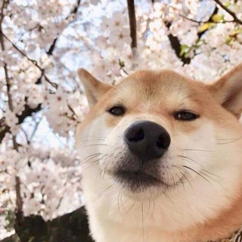 สมาชิกหมายเลข 4562149