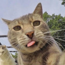 สมาชิกหมายเลข 4902394