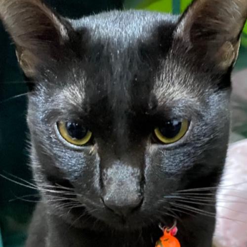 สมาชิกหมายเลข 3079480