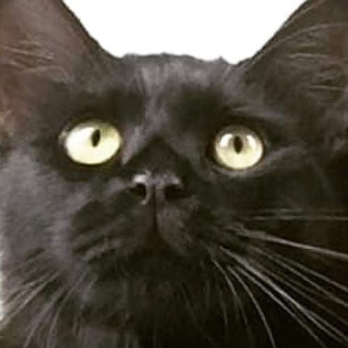 สมาชิกหมายเลข 5755808