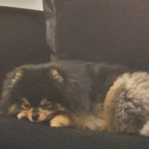 สมาชิกหมายเลข 5755996