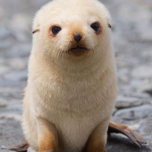 สมาชิกหมายเลข 5756226